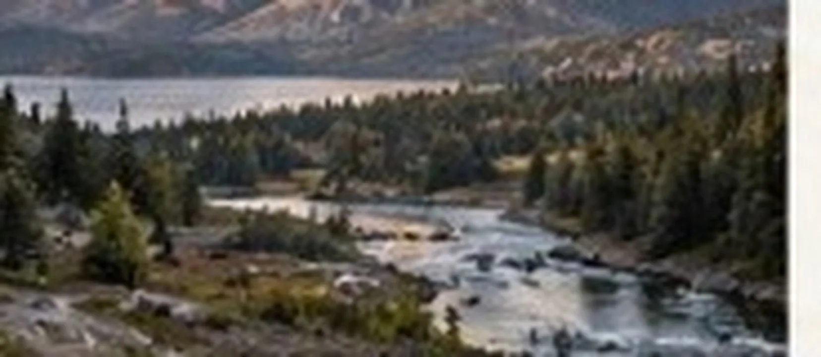 River winding through a forested valley toward distant peaks
